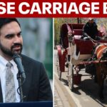 NYC horse carriage ban proposal supported by Mayor Zohran Mamdani and City Council Speaker Julie Menin.
