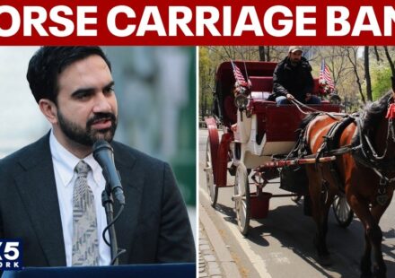 NYC horse carriage ban proposal supported by Mayor Zohran Mamdani and City Council Speaker Julie Menin.