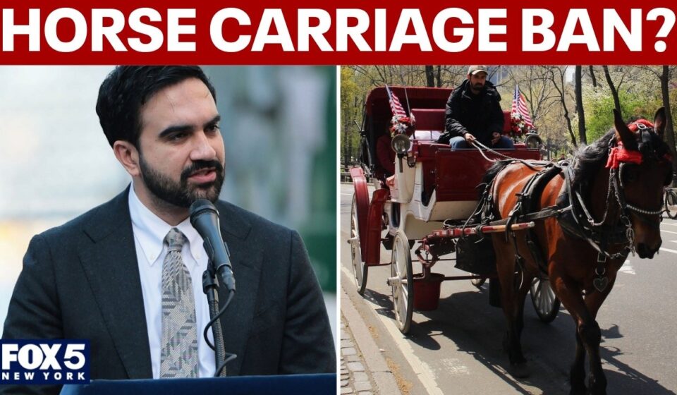 NYC horse carriage ban proposal supported by Mayor Zohran Mamdani and City Council Speaker Julie Menin.